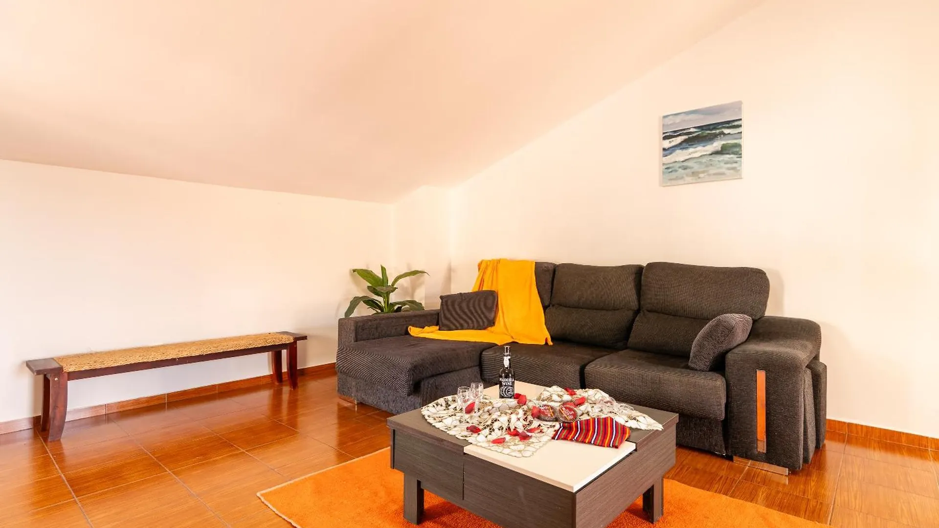 Apartamento Celia 阿科达卡列塔 公寓
